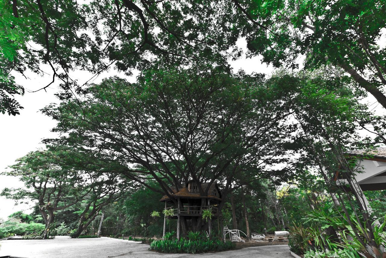 Tree House Hotel Sisaket Exterior foto